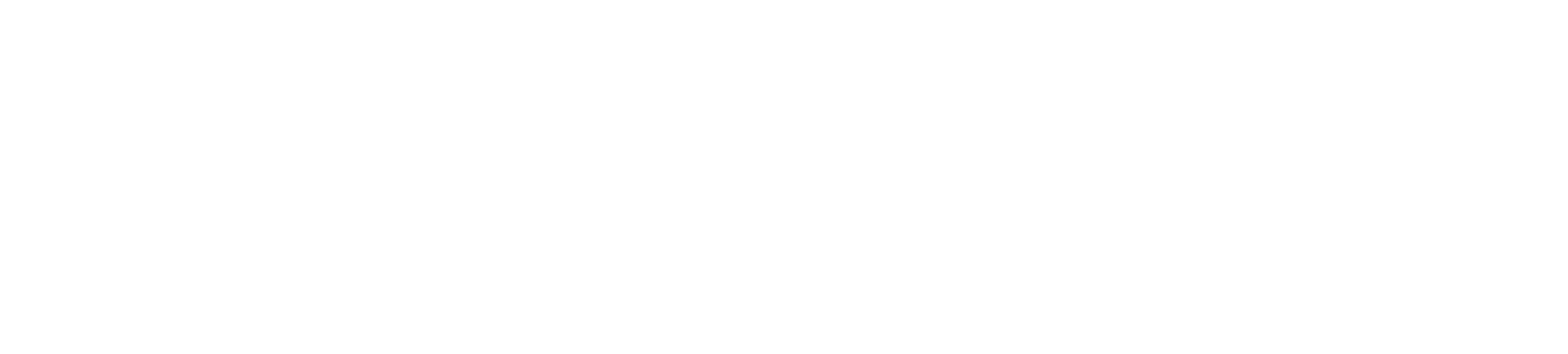 logo light